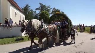 Leonhardi-Fahrt Siegertsbrunn 2016 - Umzug, Teil 2