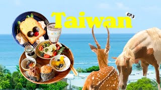 恆春旅行 EP. 3｜療癒的夏日旅行🌊｜超人氣的日系招牌飯糰🍙 ｜親子動物園區出現萌萌的梅花鹿和草泥馬🦙｜普普周 zzoeyocean