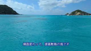 Tokashiki island at Okinawa Marine trip V-log Guide by Shima-Ashibi san