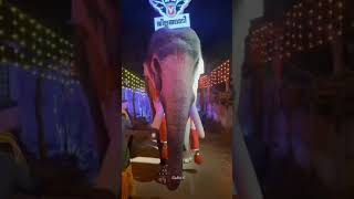 akkarammal shekaran mass at kottol fest🤌🏻🔥 akkarammal muthu❤‍🩹#akkarammalshekaran #elephantattack