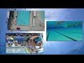 大埔三育中學 2018 2019 水運會 tpsy swimming gala