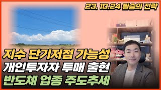 [신박사의 주식마감 복기] 지수 단기저점 가능성 / 개인투자자 투매 출현 / 반도체 업종 주도추세