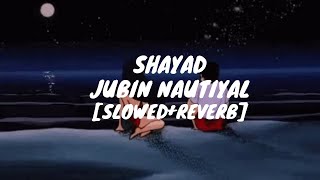 Shayad(Slowed+Reverb) - Pritam & Jubin Nautiyal