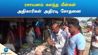 ரசாயனம் கலந்த மீன்கள்: அதிகாரிகள் அதிரடி சோதனை | Fish | Chemicals | Inspection