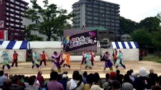 OGORIよさこい連 2016黒崎よさこい祭り