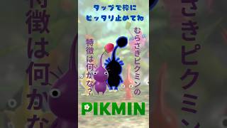 ぴったり止めると‥？ ぴったりゲーム #むらさきピクミン  #pikumin #shorts