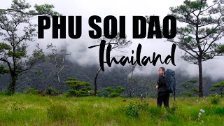 Phu Soi Dao | One of the most beautiful nature trails in Thailand | Uttaradit