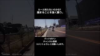 《交通違反》逆走。アホ丸出しな若者。 #shorts