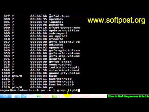 How to find the process id in Solaris How to find the process id in Solaris
