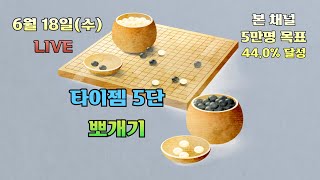 [생]타이젬바둑 5단 뽀개기