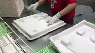 biodegradable & compostable molded pulp fiber manufacture for packaging