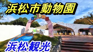 【ひとり動物園】浜松市動物園ウォーキング【静岡県浜松市】