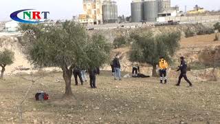 Nizip'te zeytin ağacından düştü! Hayatını kaybetti