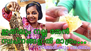 Organic bee 🐝 keeping Malayalam || നാട്ടിൻപുറത്തെ തേൻ വാങ്ങാം|| valkannadi by amritha