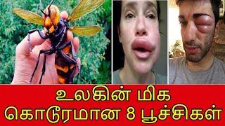 உலகின் மிக கொடூரமான பூச்சிகள் | Dangerous Insects and Bugs Tamil | Vinotha Unmaigal