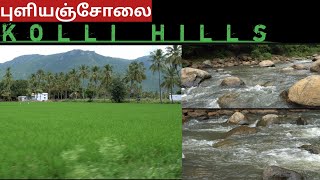 Puliancholai | kolli hills | kottapalayam