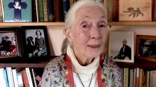 Dr. Goodall's Call To Action for Endangered Species Day 2020