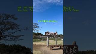 【岩手旅行③】小岩井農場 ここで余裕で寝れちゃいそう😴#岩手 #小岩井