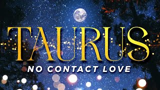 TAURUS No Contact - \