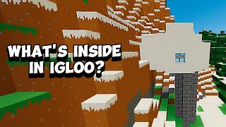 WHAT'S INSIDE IN IGLOO? MINECRAFT 1.20