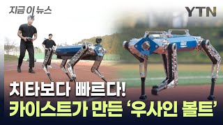 트랙 위를 '껑충껑충'...카이스트 로봇이 세운 세계 기록 [지금이뉴스] / YTN