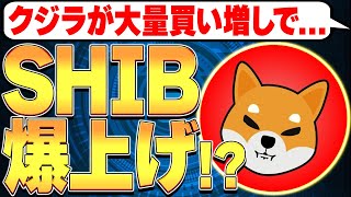 クジラが大量買い増しで…SHIB間も無く爆上がりか！？🚀【柴犬】【シバ】【仮想通貨バブル】【DOGE】【ドージ】【BTC】【ビットコイン】【ETH】【イーサリアム】【SOL】【S