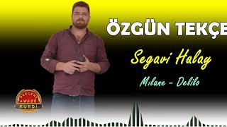 Özgün Tekçe - Haydar Haydar [Halay] YENİİ