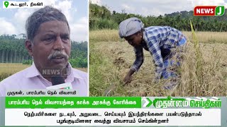 பாரம்பரிய நெல் விவசாயத்தை காக்க அரசுக்கு கோரிக்கை..! | DMKFAILS | FARMERS | NILAGIRI | NEWSJ