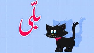 Billi Mein ne Pali Hai (Urdu Poem) | (بلّی (اردو نظم