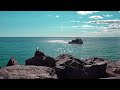 Seagul and Boat #travel #sea