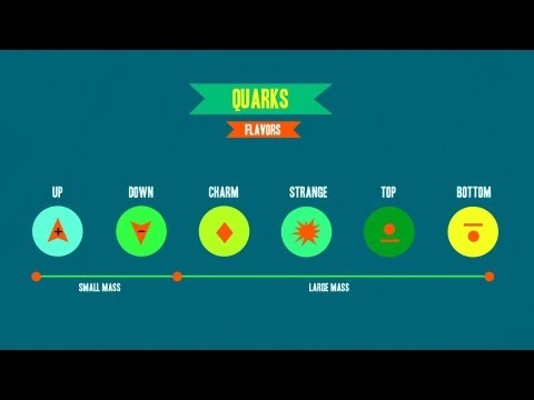 What is strong force and weak force?