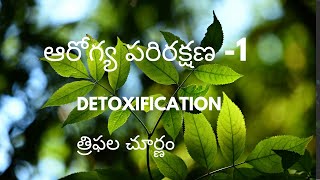 ఆరోగ్య పరిరక్షణ Part-1 (TRIPHALA CHURNA \u0026 DETOXIFICATION)