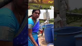 Kavya Agro#2 #toneagri #agrifarming #farmingintelugu #shorts #ytshorts #trending #farming #agri