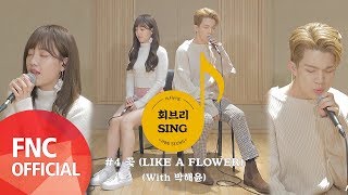 [회브리SING] N.Flying (엔플라잉) 유회승 – 꽃 Live Ver. (With 박해윤)