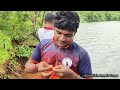 गरीला पीठ लावून गरवला मोठा मासा🐟 धरणातले मासे kokani_vlog पारंपरिक_मासेमारी fishing kokanfishing