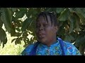 Au Zimbabwe, Linda Masarira, pasionaria anti-Mugabe