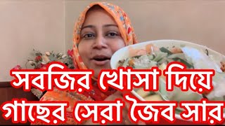 ফেলে দেওয়া সবজির খোসা কখন কিভাবে ব্যবহার করে আমি আমার আমেরিকার শখের বাগান কে এত সুন্দর করেছি।