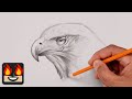 How To Draw a Hawk using Blending Stumps  | Sketch Tutorial