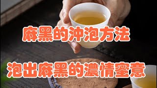 普洱茶之山頭茶風味系列課程：號記茶開始的地方—麻黑（冲泡篇）