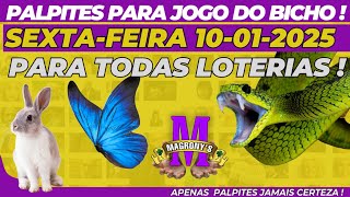 PALPITES DIA 10/01/2025 - JOGO DO BICHO TODAS AS LOTERIAS - SEXTA-FEIRA !