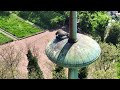 drone footage of peregrine falcon preparing a carrier pigeon for her three chicks