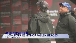 Memorial Day tribute honors fallen service members with 600k poppies