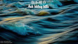 [Vietsub] Anh Không Hiểu - Joysaaaa - 《你不明白》