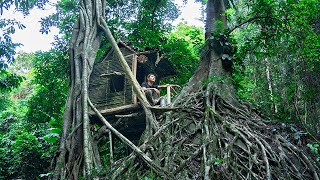 Build Bushcraft Shelters On Old Trees For Survival, Clay Fireplaces, Catch Snails In The Mountains