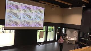 Mobius Modeller: Computational Design for Everyone