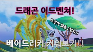 드래곤 어드벤쳐! 2일차 드린이!! 베이드리키를 키워봤어요!