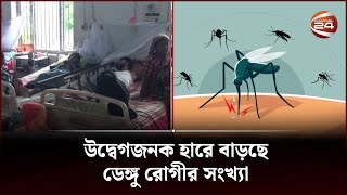 উদ্বেগজনক হারে বাড়ছে ডেঙ্গু রোগীর সংখ্যা | Channel 24