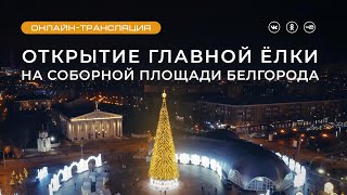 Открытие главной белгородской ёлки