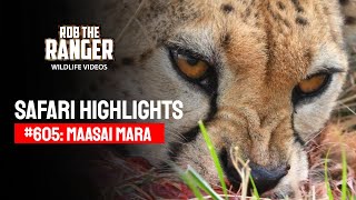 Safari Highlights #605: 03 August 2021 | Maasai Mara/Zebra Plains | Latest #Wildlife Sightings