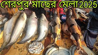 শেরপুর মাছের মেলা 2025 | এক নজরে দেখুন শেরপুরের ঐতিহাসিক মাছের মেলা ২০২৫ | @TravelSylhetbd